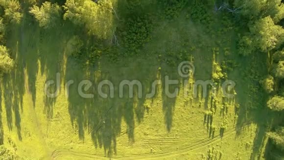 日落时绿野和树木的垂直鸟瞰图视频的预览图