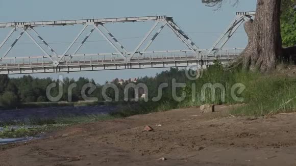 夏天河上的铁桥视频的预览图