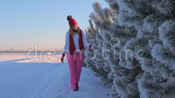 白雪皑皑的冬天里一棵霜冻的树触摸一棵树视频的预览图
