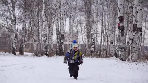 一个小男孩在雪地上去森林视频的预览图