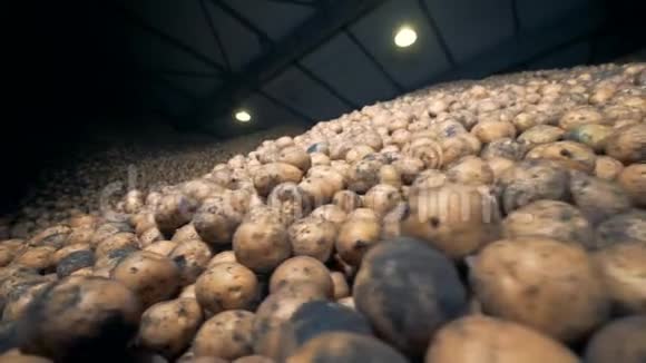堆放在仓库里的土豆4K视频的预览图