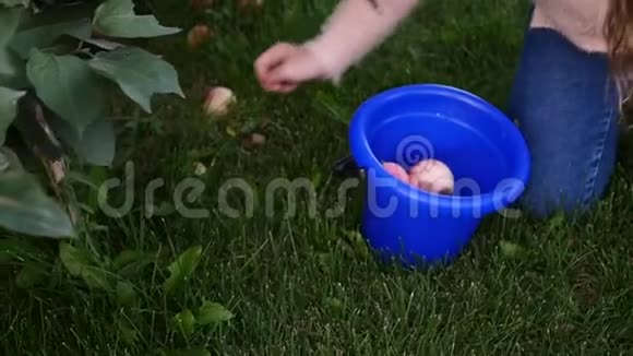 孩子夏天花园里的果树下他的手从地上摘苹果慢动作视频的预览图