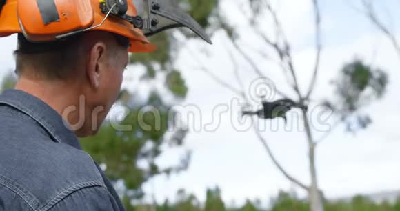 Lumberjack在4k森林里操作无人机视频的预览图