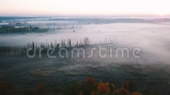 美丽雾乡寒性田间与植物在海霜孤独的树空中无人机视频片段视频的预览图