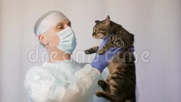 兽医检查一只小猫他要给他接种疫苗视频的预览图
