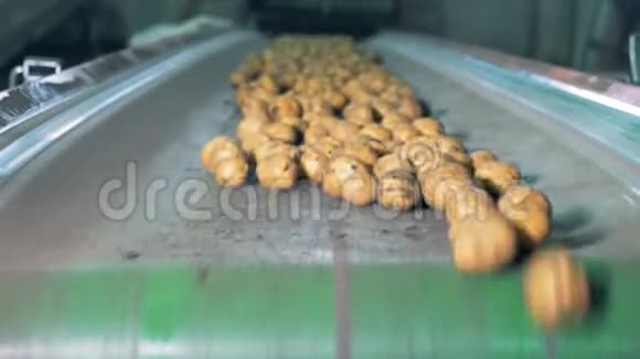 土豆在工厂传送带上移动肮脏的土豆在工厂的传送带上视频的预览图