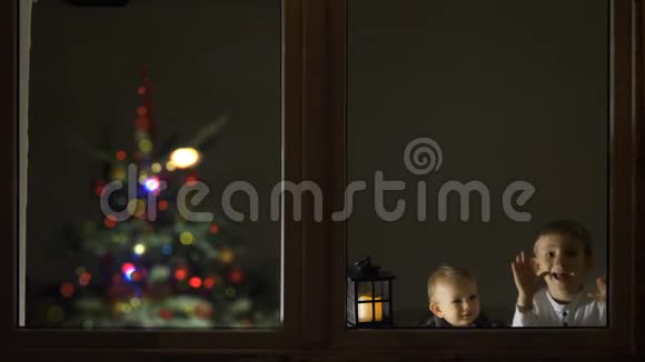 宝宝和弟弟用灯看窗户背景是圣诞树等待第一次庆祝视频的预览图