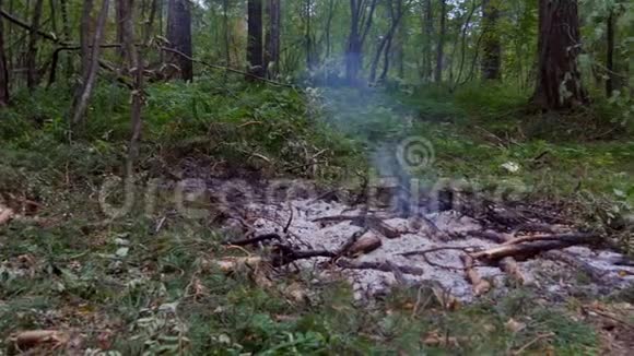 篝火是树林里的烟视频的预览图