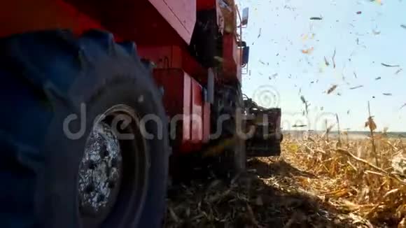 特写大红联合收割机收割玉米干燥的叶子在风中飞过田野秋天视频的预览图