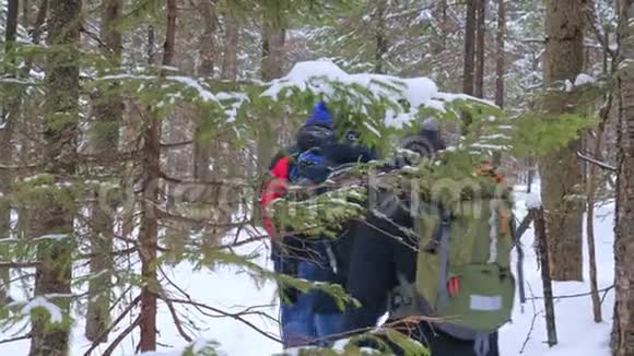 一群背着背包的游客穿过冬林视频的预览图