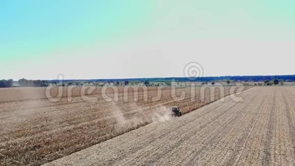 高空俯视图拖拉机在收获玉米后切干玉米秸秆和树叶空中农业初秋视频的预览图