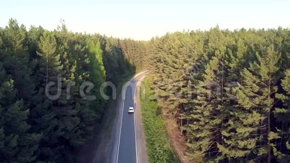在轻针叶林间的空中观景道路蜿蜒曲折视频的预览图