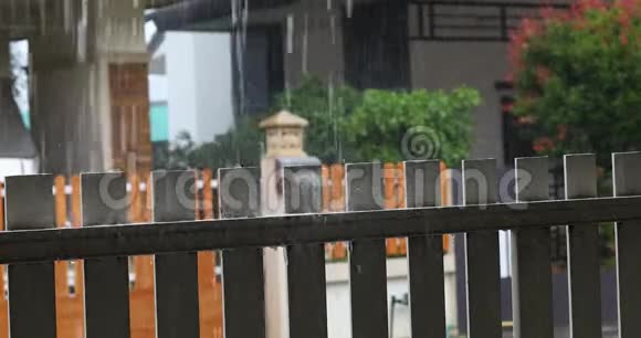 雨水滴在篱笆上视频的预览图