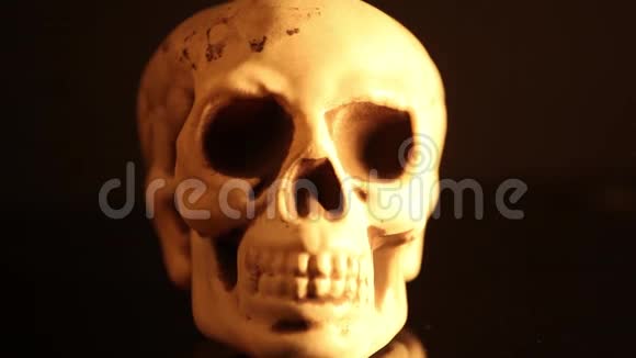 人类头骨头部放大视频的预览图