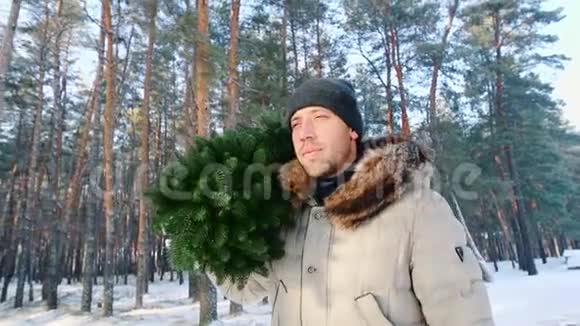 一个人在冬天的森林里扛着一棵杉树圣诞节概念视频的预览图