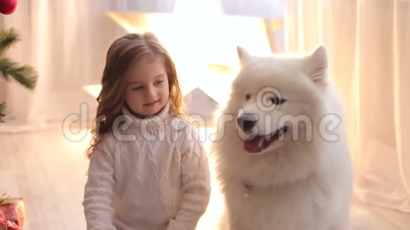小女孩和毛茸茸的狗靠近圣诞树视频的预览图