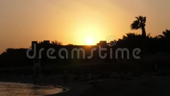 美丽的橙红色日落在炎热的非洲黑暗的棕榈树轮廓和屋顶视频的预览图