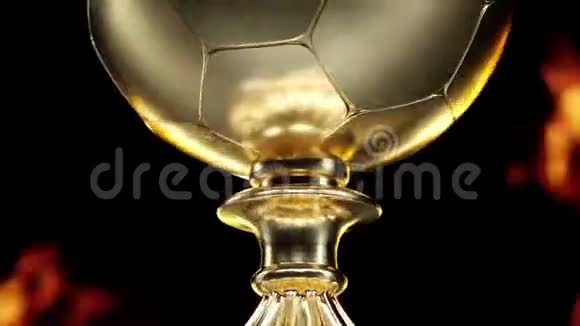 金杯足球高清动作动画视频的预览图