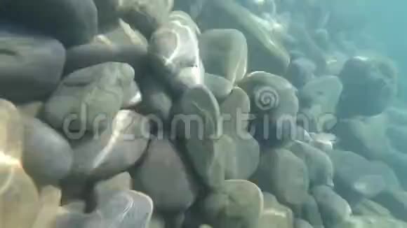 海底大卵石的水下景观视频的预览图