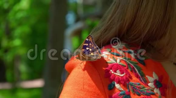 蝴蝶坐在一个年轻女孩的肩膀上一只美丽的蝴蝶在休息视频的预览图