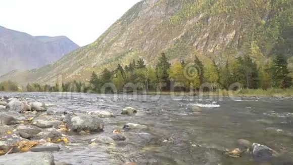 美丽的景观景观山河溪流岩石的河岸森林和山峰在地平线上视频的预览图