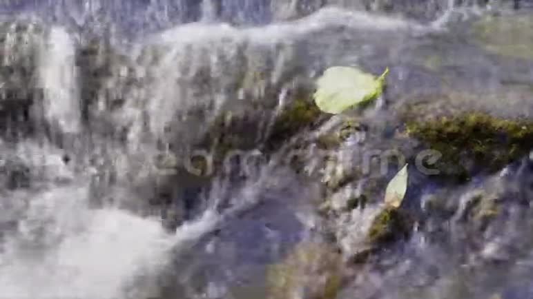 河流中的石头视频的预览图