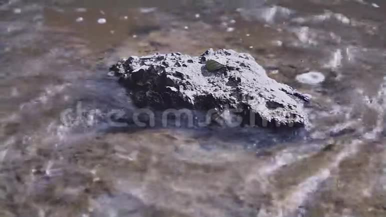 河流中的石头视频的预览图