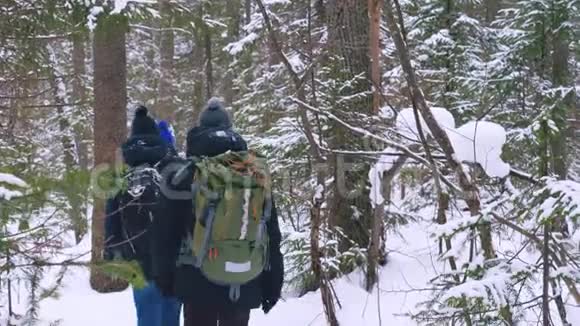 一群背着背包的游客穿过冬林视频的预览图