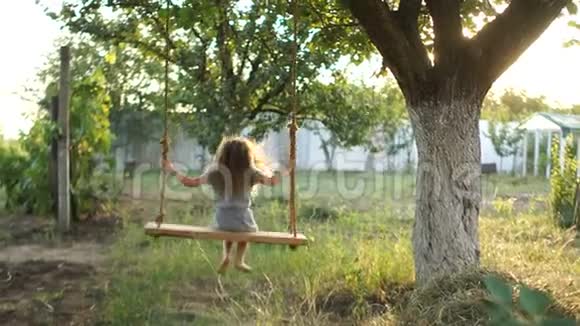 树上的秋千那个女孩正骑着木秋千暑假健康的生活方式视频的预览图
