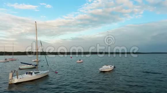 在阳光下停泊在平静平静的码头上的游艇和游艇群视频的预览图
