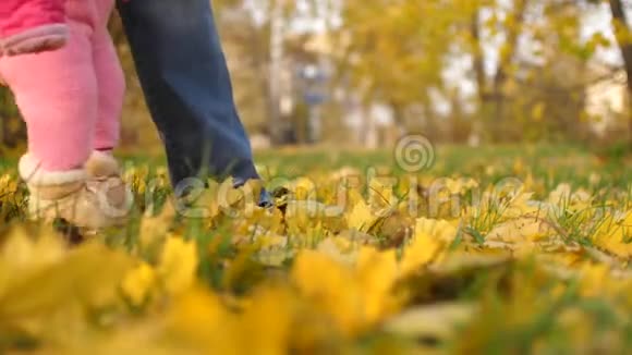 小孩子的腿走在草地和黄叶上爸爸和他的小女儿在秋天公园散步视频的预览图
