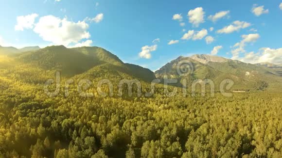 空中射击在山上日落时分无人机在森林上空升起视频的预览图