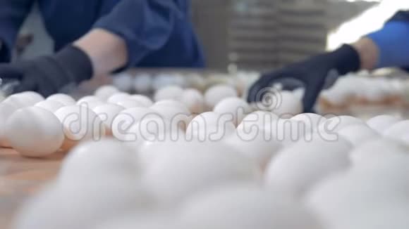 在农场清理鸡蛋关门在家禽养殖场工作的人打包鸡蛋视频的预览图