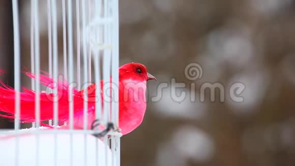 红色玩具鸟白色户外金属笼冬季雪高清镜头视频的预览图