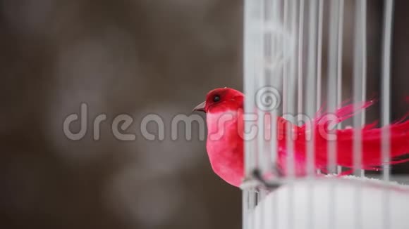 红色玩具鸟白色户外金属笼冬季雪高清镜头视频的预览图