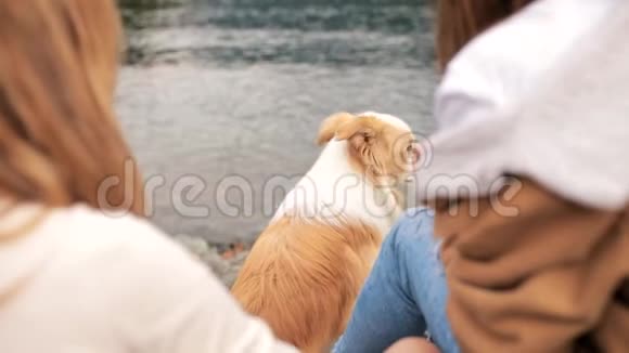 两个年轻时尚的白种人女性玩和宠物与她的边境牧羊犬在湖山旅费视频的预览图