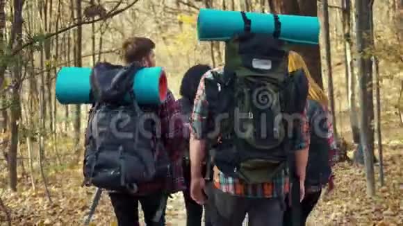 一群背着背包在秋林里散步的年轻徒步旅行者视频的预览图
