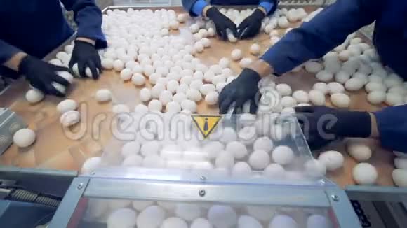 鸡蛋是在农场分类的人们把鸡蛋包装成特殊的盒子在家禽养殖场出售视频的预览图