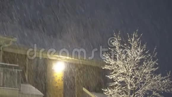 城市街道上大雪纷飞的空中景色公共照明灯视频的预览图