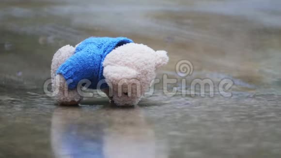 被遗弃的玩具熊在雨中的水坑里视频的预览图
