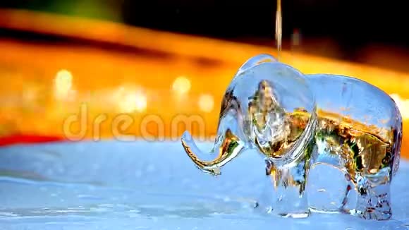眼镜象水滴花园视频的预览图