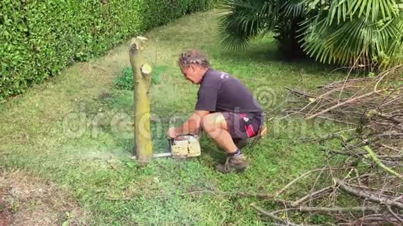 园丁用电锯砍伐树木视频的预览图