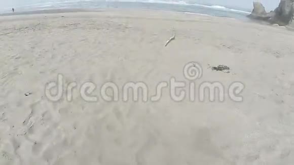 驾驶飞机起飞沿海洋飞越沙滩视频的预览图