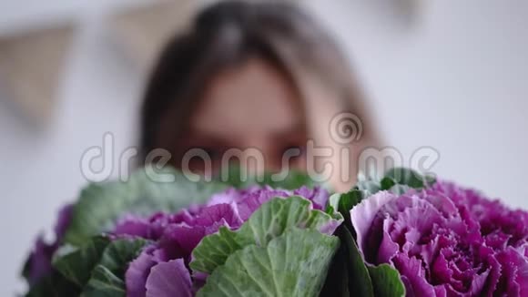 女孩花店藏着她的脸后花特写装饰卷心菜白腊菜视频的预览图