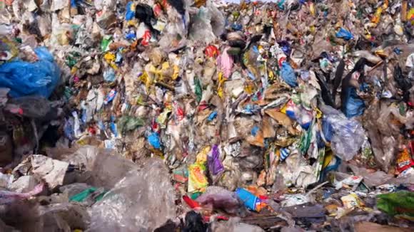 填埋场城市垃圾场很多塑料垃圾收集在立方体里视频的预览图