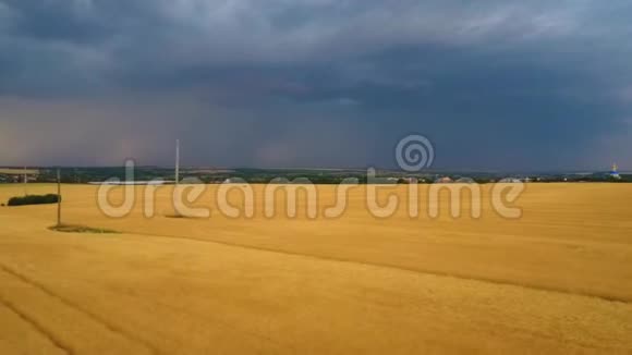 满是小麦的大片田野乌云密布照亮了黑暗的地平线视频的预览图