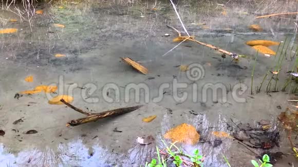 大石头掉进湖面产生大量的飞溅气泡波浪和水滴视频的预览图