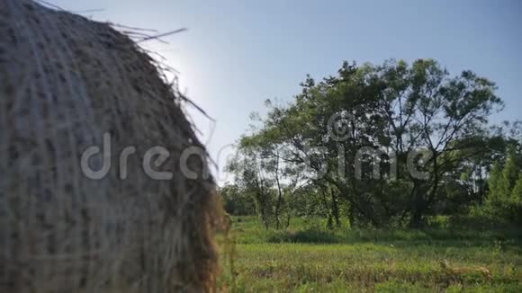 干草堆在田野里背景是树视频的预览图