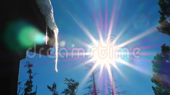 冰柱在阳光和雪中融化春季概念视频的预览图