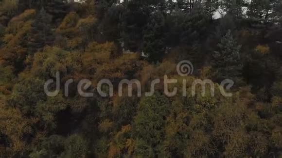在针叶林上方的山区地形中飞越山区可以看到在视频的预览图